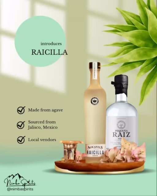 ✨ The Agave Spirit America Is Just Beginning to Discover

RAICILLA

✓ Crafted from Agave
✓ Produced in Jalisco, Mexico
✓ Made by Independent Producers

Nimba Spirits is proud to share two authentic expressions:

🏔️ Pequeña Raíz — Raicilla de la Sierra
🌊 Alicantes — Raicilla de la Costa

Made by independent producers and rooted in generations of craftsmanship, each bottle tells a story of place, tradition, and character.

👇 Have you tried Raicilla yet?

#nimbaspirits #raicilla #explore