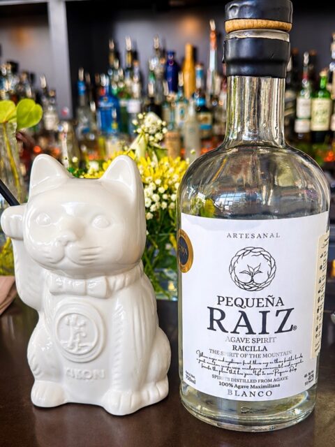 ✨ Exceptional cocktails begin with exceptional spirits.

🐱🍸 Meet the Kon’nichiwa Koneko.

Built around Pequeña Raíz Raicilla and accented with sake, lychee, crème de violette, coconut, and fresh lemon, this signature cocktail from Oro is delicate, complex, and beautifully balanced.

A celebration of craftsmanship, curiosity, and the art of discovering something new.

📍 Now pouring at @oro_restaurant!

Ready to explore beyond tequila and mezcal?

Tag the person you’re bringing for a round. 👇

Elevate your glass.

#nimbaspirits #craftcocktails #explorepage✨